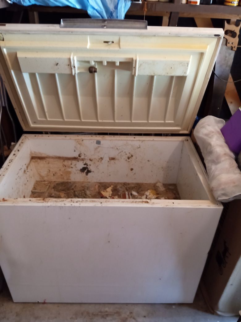 Freezer removal containing 30 gallons of water with bad food. Several garbage bags of bad frozen food.
Yard debris. Garage junk. Magazines, empty boxes, paper bags.