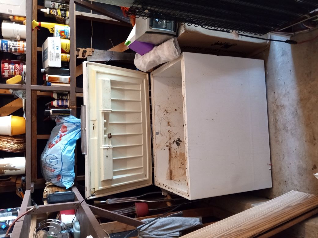 Freezer removal containing 30 gallons of water with bad food. Several garbage bags of bad frozen food.
Yard debris. Garage junk. Magazines, empty boxes, paper bags.